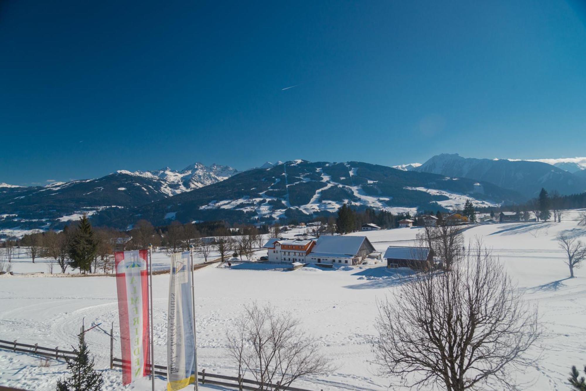 Almfrieden Hotel & Romantikchalet Ramsau am Dachstein Eksteriør billede