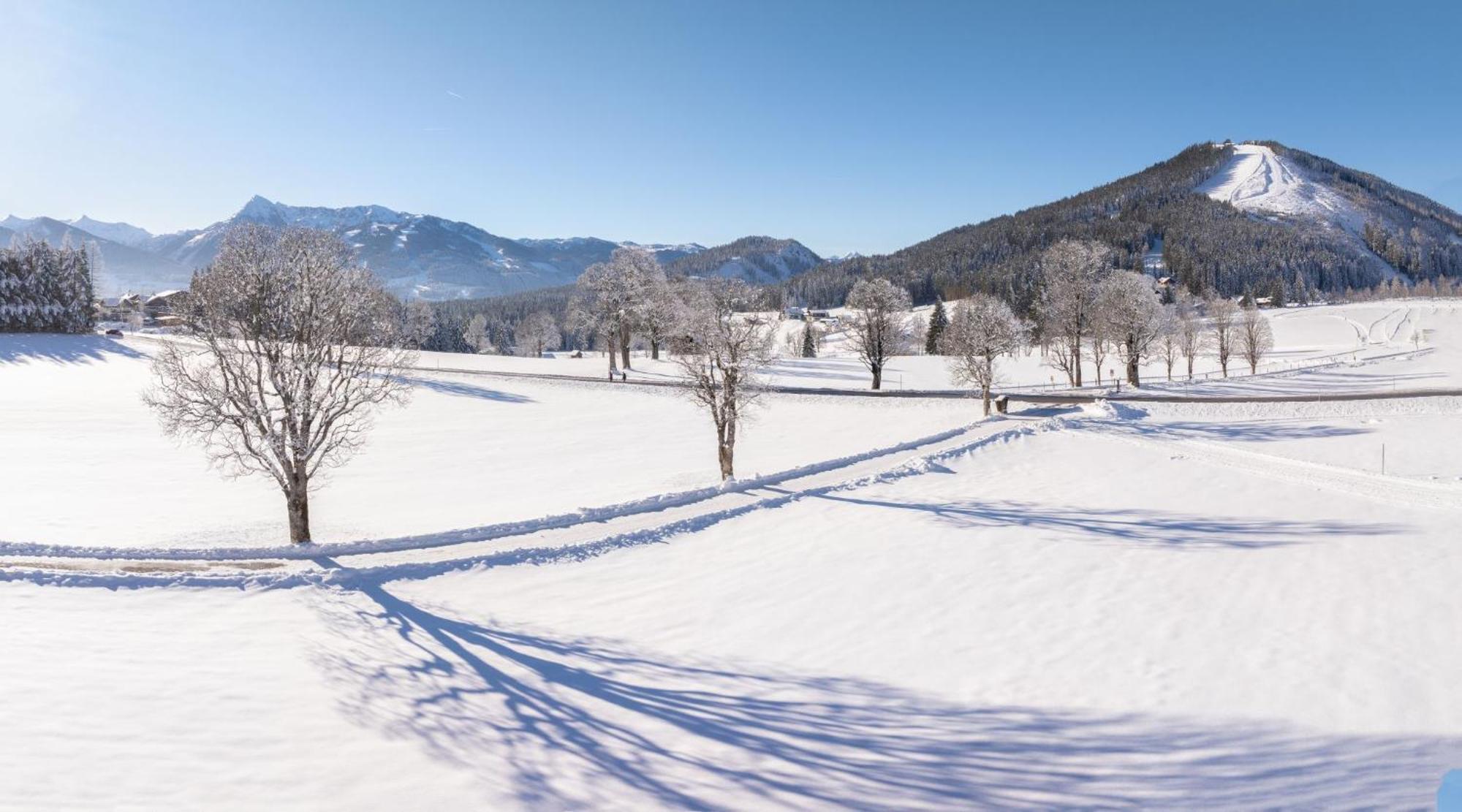 Almfrieden Hotel & Romantikchalet Ramsau am Dachstein Eksteriør billede